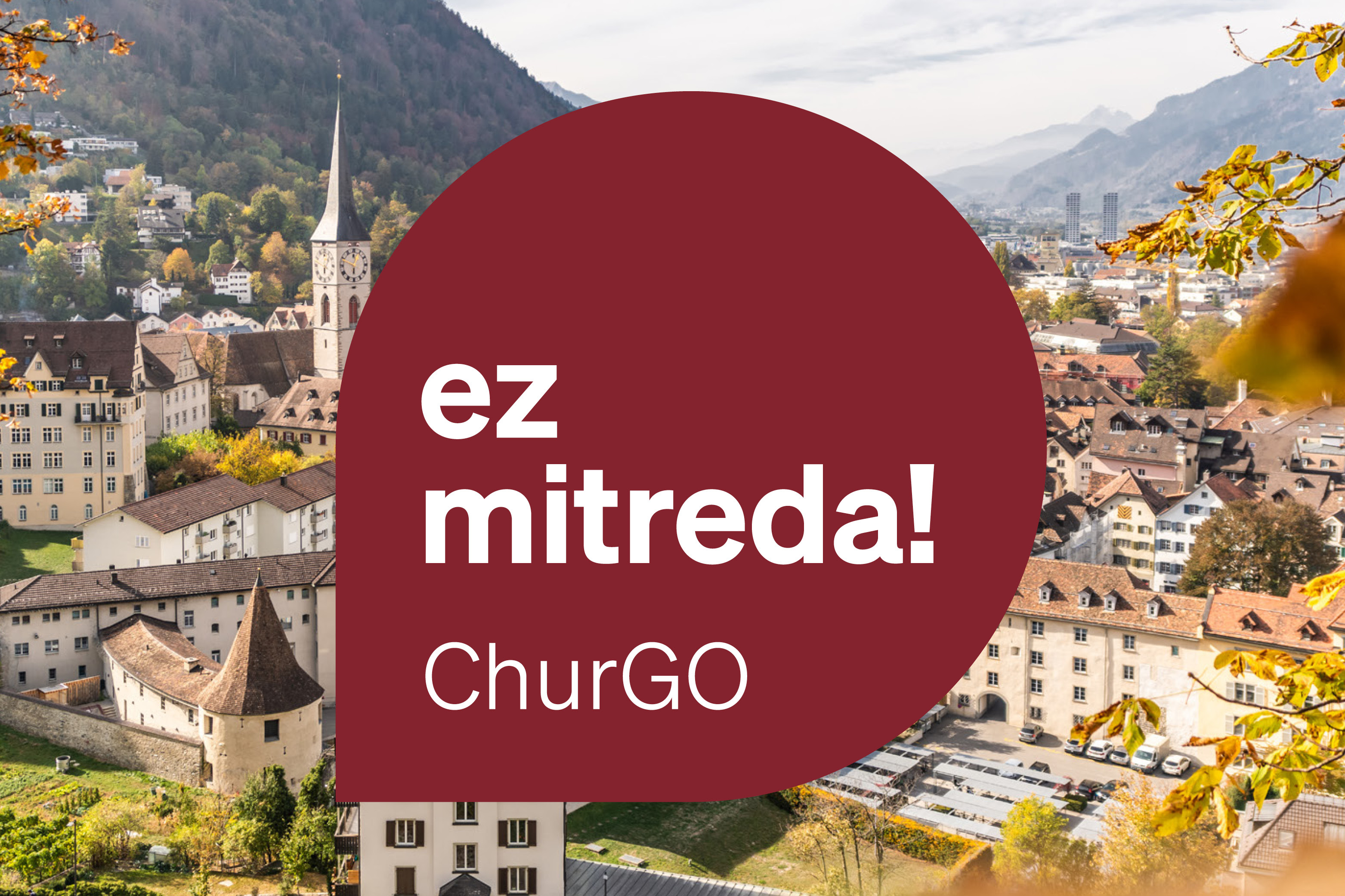 Einbezug und Kommunikation zur Revision Grundordnung